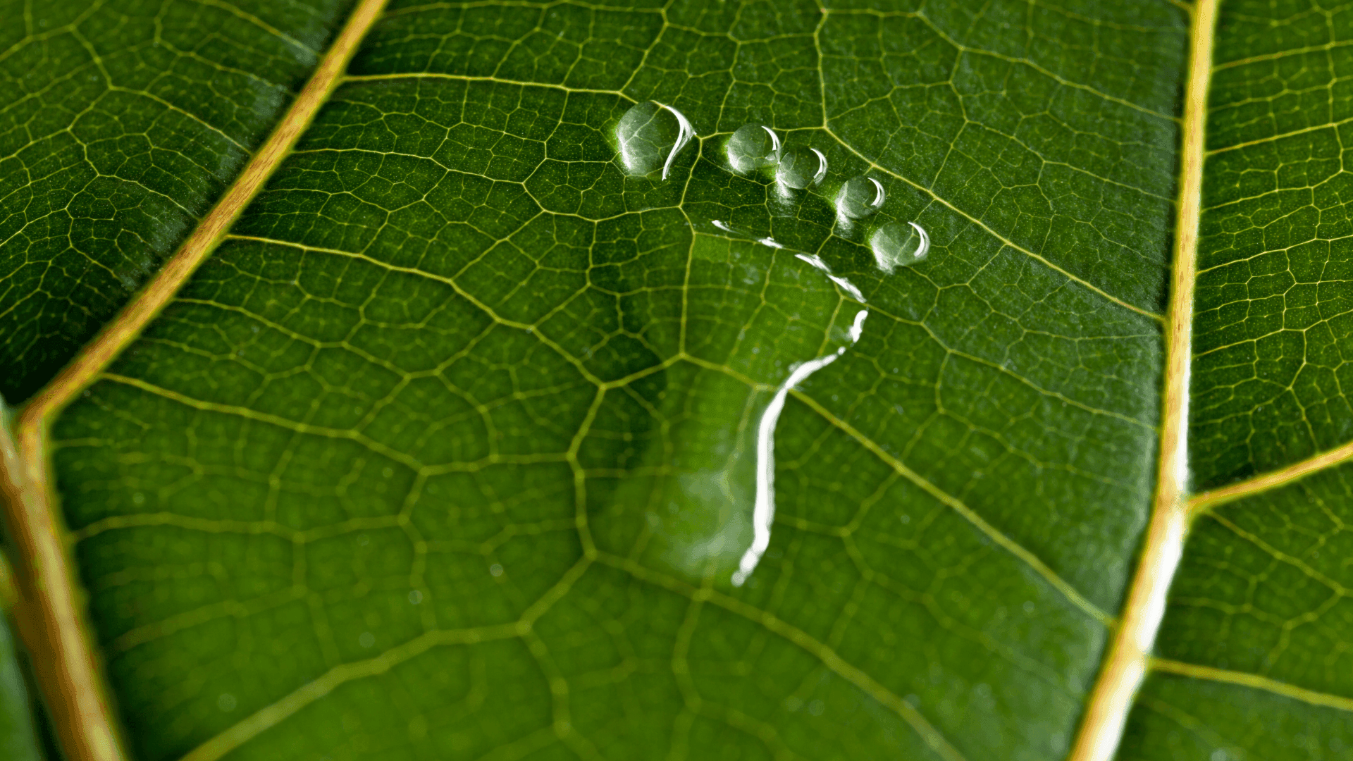 Su Ayak İzi Nedir: Kurumsal Su Ayak İzi Hesaplamasının Önemi